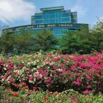 Mùa hoa giấy nở Mùa hoa giấy nở