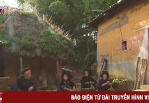 Sức hút mùa xuân Y Tý