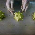 Cuộc sống trong Covid-19 Cuộc sống trong Covid-19