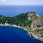 Hòn đảo có hàng nghìn con rắn độc, cấm du khách lên bờ Hon dao co hang nghin con ran doc, cam du khach len bo hinh anh 1 1.jpg