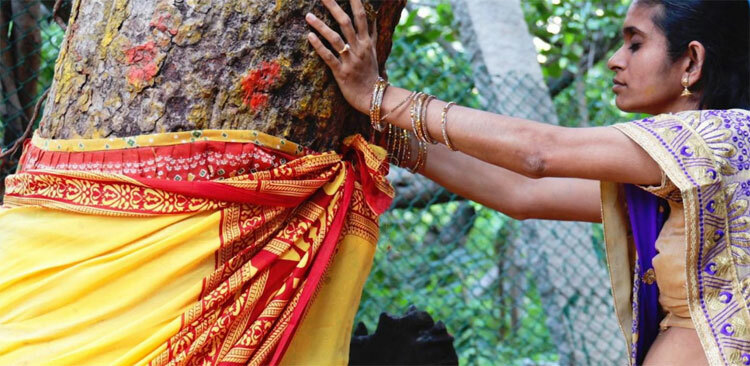 Người dân thường chạm vào cây để cầu nguyện với niềm tin chạm vào cây sẽ đem lại sự may mắn, khai sáng tâm hồn, trí tuệ và sức khỏe. Ảnh: BBC.
