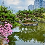 Khuyến mại tour Hàn Quốc tháng 10