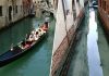 Nước ở Venice trong nhờ vắng khách Nước kênh trong vắt với những đàn cá nhỏ bơi lội là những điều mà trước đây khi Venice đông nghịt du khách, bạn sẽ khó thấy được. Ảnh: Twitter.