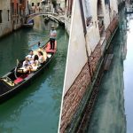 Nước ở Venice trong nhờ vắng khách Nước kênh trong vắt với những đàn cá nhỏ bơi lội là những điều mà trước đây khi Venice đông nghịt du khách, bạn sẽ khó thấy được. Ảnh: Twitter.
