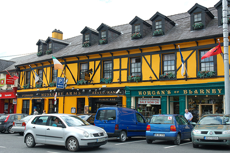 Thị trấn Blarney cách thành phố Cork (thành phố lớn thứ hai của đất nước) 8 km. Ảnh: Mizkit.