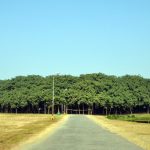 Cây đa tán rộng như khu rừng Từ xa nhìn lại, nhiều người dễ nhầm tưởng trước mặt họ là một khu rừng nhỏ. Nhưng thực tế, bạn đang đứng trước Thimmamma Marrimanu. Ảnh: Famous places in india.