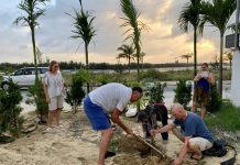 Những vị khách vui vẻ ở Hội An Những vị khách vui vẻ ở Hội An - Ảnh 1.