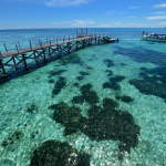 4 điểm đến vào mùa hè ở Malaysia polyad