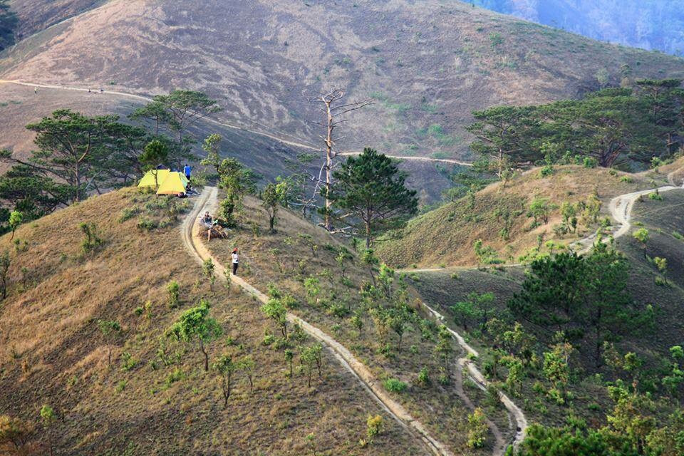 Cung đường Tà Năng – Phan Dũng đẹp nhất Việt Nam đã dừng trekking ngăn dịch Covid-19 - ảnh 3