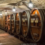 Nơi chữa bệnh bằng rượu vang Hầm rượu Strasbourg cũng là nơi lưu trữ loại rượu vang trắng lâu đời nhất thế giới - vang trắng Alsace – mới chỉ được uống thử 3 lần từ 1472 cho tới nay. Ảnh: CNN/Garden Photo World/Alamy.