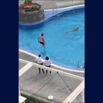 Bị bắt vì không chịu cách ly Bị bắt vì không chịu cách ly