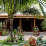 Homestay làm từ 4.000 cây dừa Homestay làm từ 4.000 cây dừa