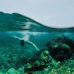 Lý Sơn – vùng đất đảo yên bình của Quảng Ngãi Ly Son - vung dat dao yen binh cua Quang Ngai hinh anh 1 dao27_1_.jpg