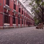 Xứ Huế đẹp tựa bức tranh Nhật Bản trong mùa điệp anh đào Xu Hue dep tua buc tranh Nhat Ban trong mua diep anh dao hinh anh 1 DSC_0641.jpg