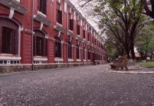 Xứ Huế đẹp tựa bức tranh Nhật Bản trong mùa điệp anh đào Xu Hue dep tua buc tranh Nhat Ban trong mua diep anh dao hinh anh 1 DSC_0641.jpg