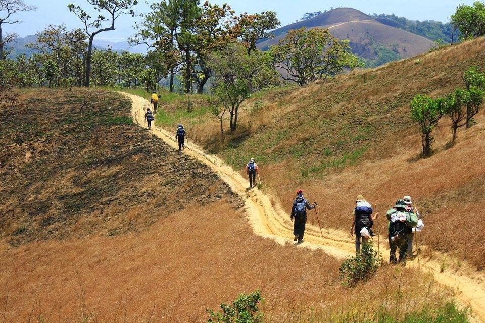 Cung đường Tà Năng – Phan Dũng đẹp nhất Việt Nam đã dừng trekking ngăn dịch Covid-19 - ảnh 1