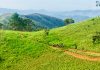 Cung đường Tà Năng – Phan Dũng đẹp nhất Việt Nam đã dừng trekking ngăn dịch Covid-19 Một đoạn trên tuyến Tà Năng - Phan Dũng /// Anh Tuấn