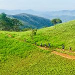 Cung đường Tà Năng – Phan Dũng đẹp nhất Việt Nam đã dừng trekking ngăn dịch Covid-19 Một đoạn trên tuyến Tà Năng - Phan Dũng /// Anh Tuấn