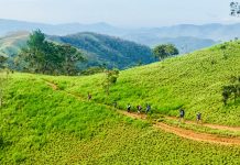 Cung đường Tà Năng – Phan Dũng đẹp nhất Việt Nam đã dừng trekking ngăn dịch Covid-19 Một đoạn trên tuyến Tà Năng - Phan Dũng /// Anh Tuấn