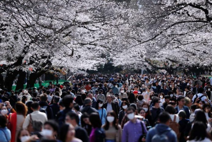 Khách tham quan trong công viên Ueno vào ngày 22/3. Công viên Ueno là nơi nổi tiếng nhất tại Tokyo trong mùa hoa anh đào. Ảnh: Issei Kato/Reuters.
