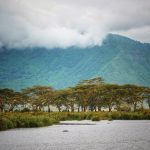 Trên đồng cỏ Tanzania Trên đồng cỏ Tanzania