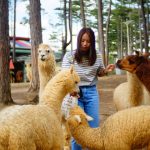 Check-in cùng kangaroo, lạc đà tại khu du lịch Đà Lạt Check-in cung kangaroo, lac da tai khu du lich Da Lat hinh anh 1 l.jpg