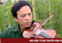 Những nghệ sĩ violon nông dân làng Then, Bắc Giang