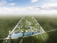 Mexico sắp xây dựng thành phố rừng thông minh