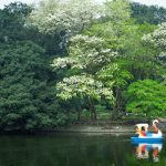 Những mùa hoa bị bỏ lỡ Những mùa hoa bị bỏ lỡ