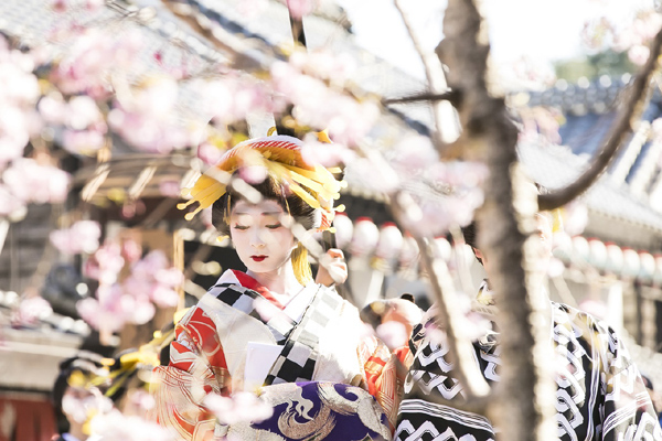 Mùa xuân tuyệt đẹp ở Edo Wonderland