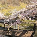 Mùa xuân tuyệt đẹp ở Edo Wonderland Mùa xuân tuyệt đẹp ở Edo Wonderland