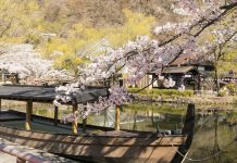 Mùa xuân tuyệt đẹp ở Edo Wonderland Mùa xuân tuyệt đẹp ở Edo Wonderland