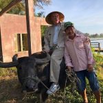 Cựu nhân viên ngoại giao Mỹ du lịch Việt Nam giữa dịch Covid-19: Thú vị, rất yên tâm! Ông Philip C Brown thích thú với cảnh cưỡi trâu ở Hội An /// NVCC