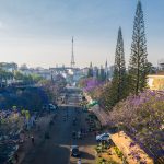 Đà Lạt mùa phượng tím Đà Lạt mùa phượng tím