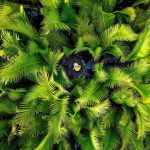 Ảnh Việt Nam vào top đẹp nhất thế giới Ảnh Việt Nam vào top đẹp nhất thế giới