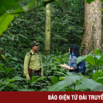 Tìm hiểu công việc của cán bộ kiểm lâm Vườn quốc gia Cúc Phương