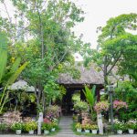 Trải nghiệm không gian làng quê giữa Sài Gòn Làng du lịch Bình Quới có khung cảnh lãng mạn, yên bình nằm giữa lòng Sài Gòn.