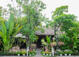 Trải nghiệm không gian làng quê giữa Sài Gòn Làng du lịch Bình Quới có khung cảnh lãng mạn, yên bình nằm giữa lòng Sài Gòn.