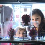 Bánh ‘virus corona’ Tiệm bánh Pháp bán món ăn hình virus corona