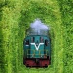 Vẻ đẹp mê hoặc suốt 4 mùa của Đường hầm tình yêu ở Ukraine