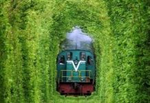 Vẻ đẹp mê hoặc suốt 4 mùa của Đường hầm tình yêu ở Ukraine