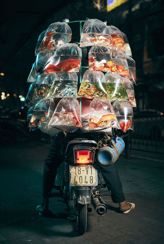 Vẻ đẹp Việt Nam trong cuộc thi ảnh quốc tế