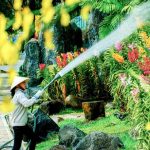 Đầm Sen, Suối Tiên ngừng đón khách trong dịch Covid-19