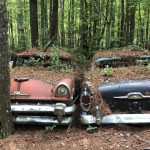 Những nghĩa địa xe hơi ẩn mình trong rừng rậm hút khách Nhung nghia dia xe hoi an minh trong rung ram hut khach hinh anh 1 1._abandoned_explorers_1.jpg