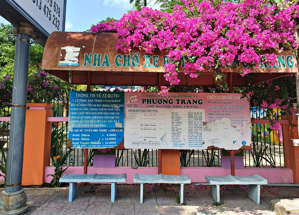 Nha Trang tiếp tục cách ly xã hội: Hoa giấy nở rực đường phố  - ảnh 7
