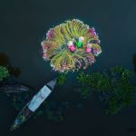 Ảnh chụp trên cao của Việt Nam đầy mê hoặc trên tạp chí Mỹ Anh chup tren cao cua Viet Nam day me hoac tren tap chi My hinh anh 1 1a56ebdb4057bd44f78fd6c2363fecda.jpg