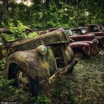 Xe cổ vứt trong rừng bị mẹ thiên nhiên nuốt trọn Xe co vut trong rung bi me thien nhien nuot tron hinh anh 1 27264488_8225349_Mother_Nature_has_staked_a_firm_claim_on_this_row_of_1941_Ford_T_a_46_1587118215134.jpg