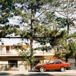 Đà Lạt cuối tháng 3 yên bình như những ngày xưa cũ Da Lat cuoi thang 3 yen binh nhu nhung ngay xua cu hinh anh 1 279ad272fe8f05d15c9e.jpg