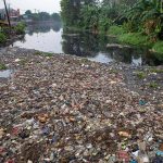 Khung cảnh những khu rừng bị con người phá hủy Khung canh nhung khu rung bi con nguoi pha huy hinh anh 1 5ca79d3692c8860a10164873.jpg