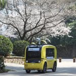 Hoa anh đào vắng người ngắm, nở rộ khắp nơi trên thế giới Hoa anh dao vang nguoi ngam, no ro khap noi tren the gioi hinh anh 1 10.jpg